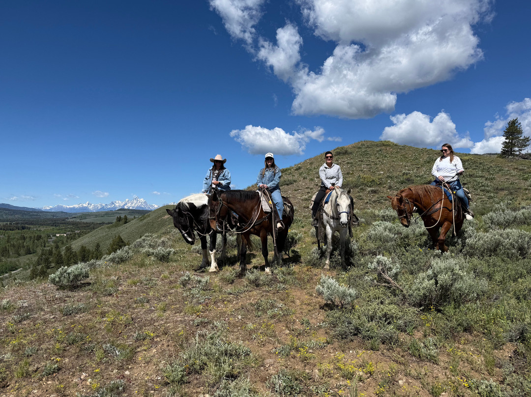 Yellowstone Outfitters