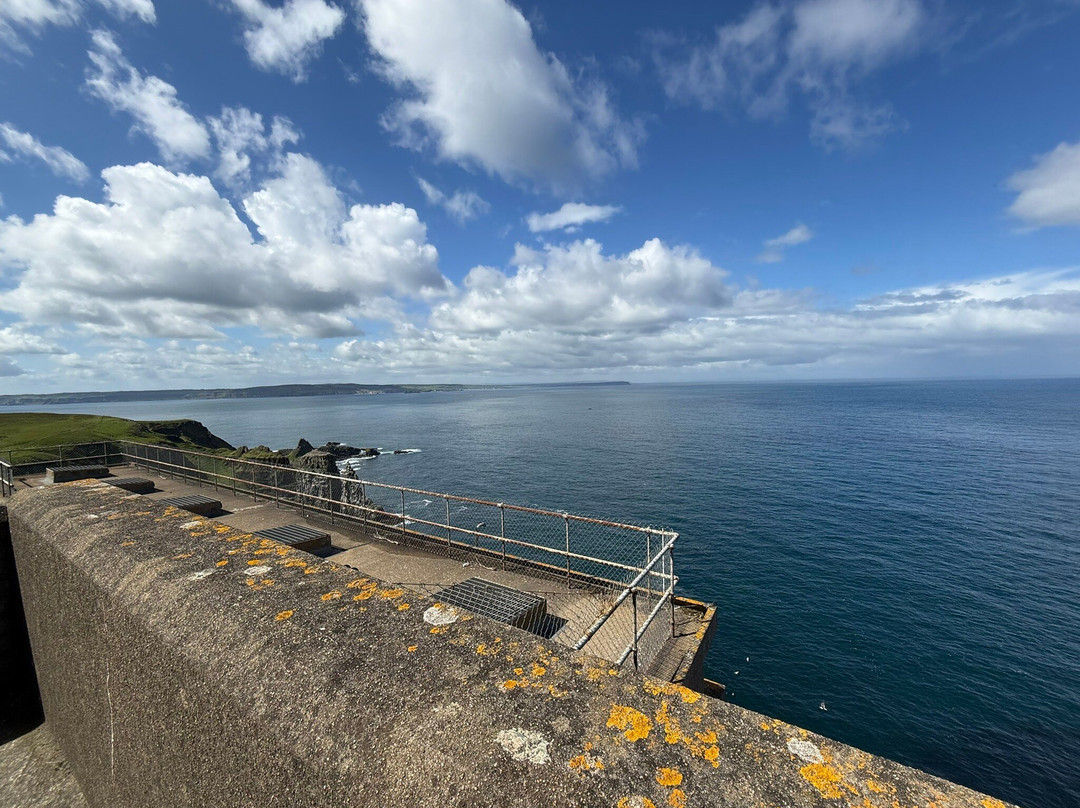 RSPB Rathlin West Light Seabird Centre-Rathlin Island必去景点