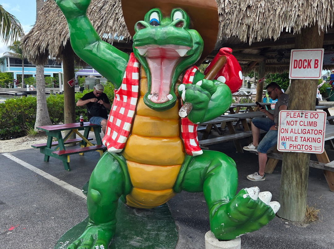 Captain Jack's Airboat Tours-大沼泽地必去景点