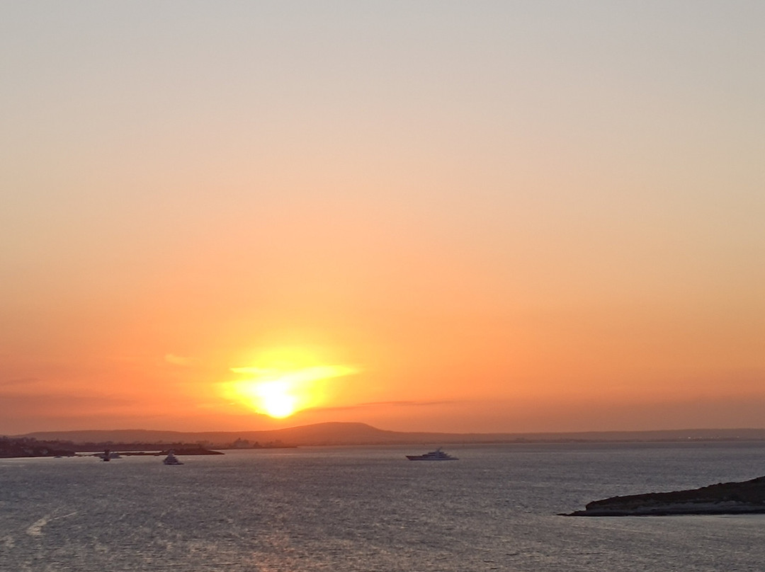 Alua Calvia Mallorca主图