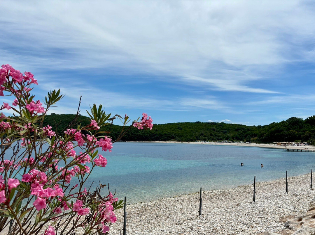 Sotiris Boat Hire-Agios Stefanos必去景点