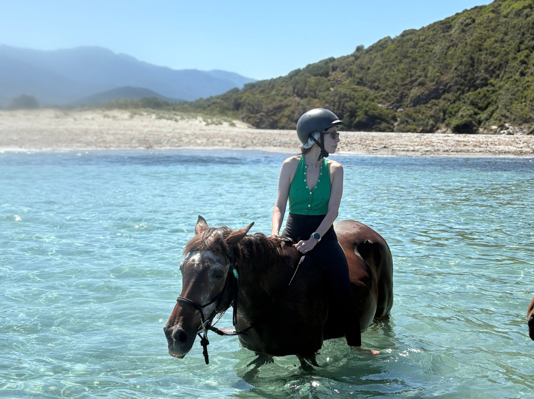 Ranch Arbo Valley-Monticello必去景点