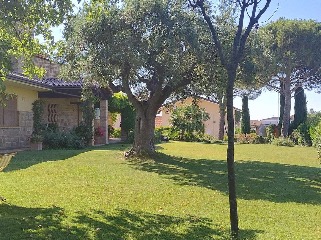 Il Giardino Delle Rose主图