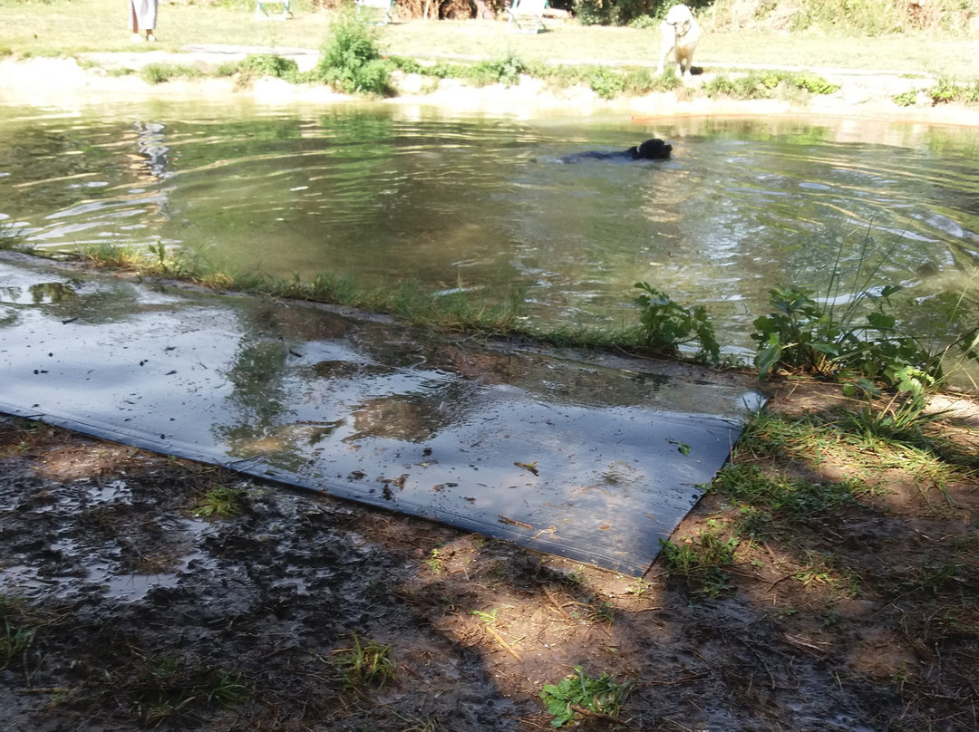 La Pisciculture Du Pont De Caylus-Villeneuve les Beziers必去景点