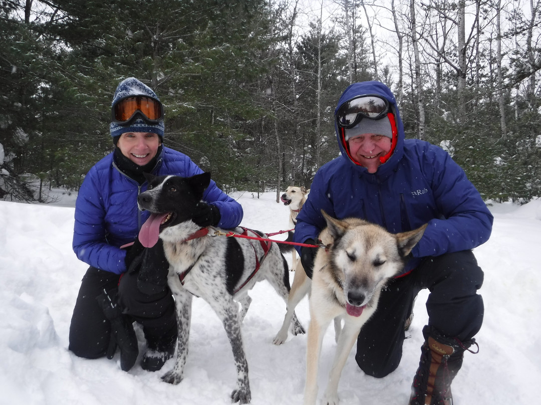 Nature's Kennel Sled Dog Adventures-McMillan必去景点