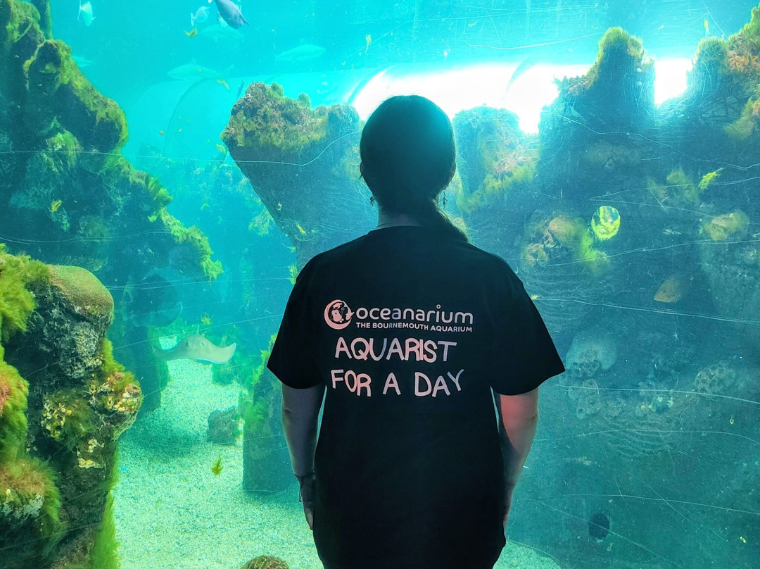 Oceanarium-伯恩茅斯必去景点