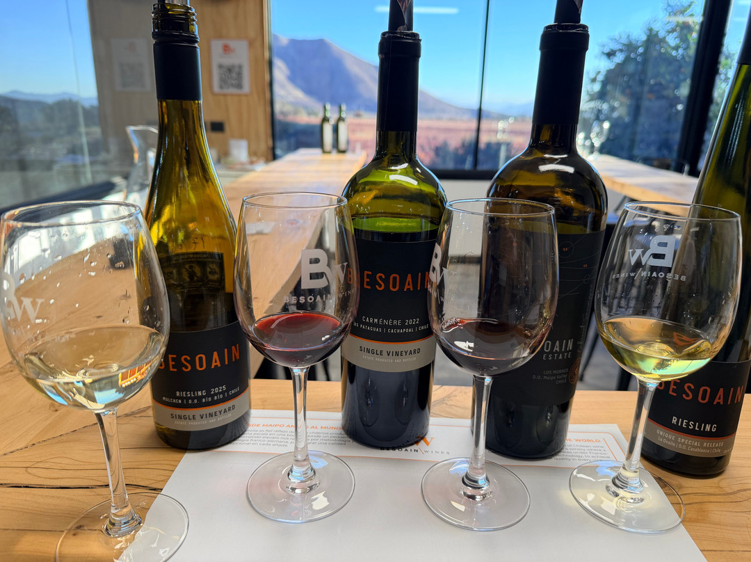 Besoain Wines-Pirque必去景点