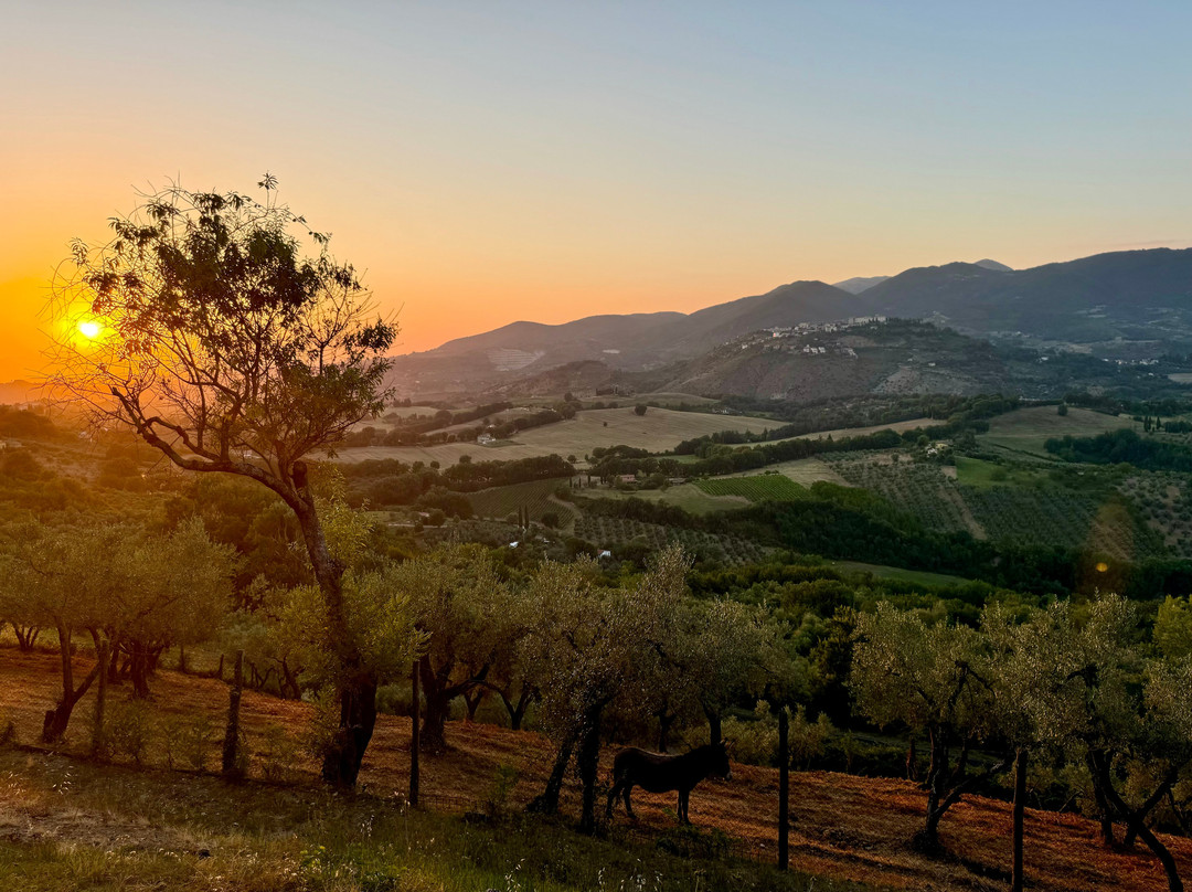 ArtePiano International Festival & Competition-Castelnuovo di Farfa必去景点