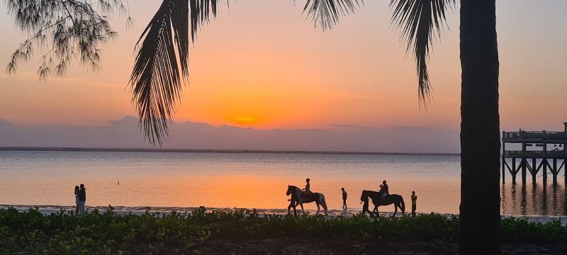 米查维日落湾酒店-旅行者