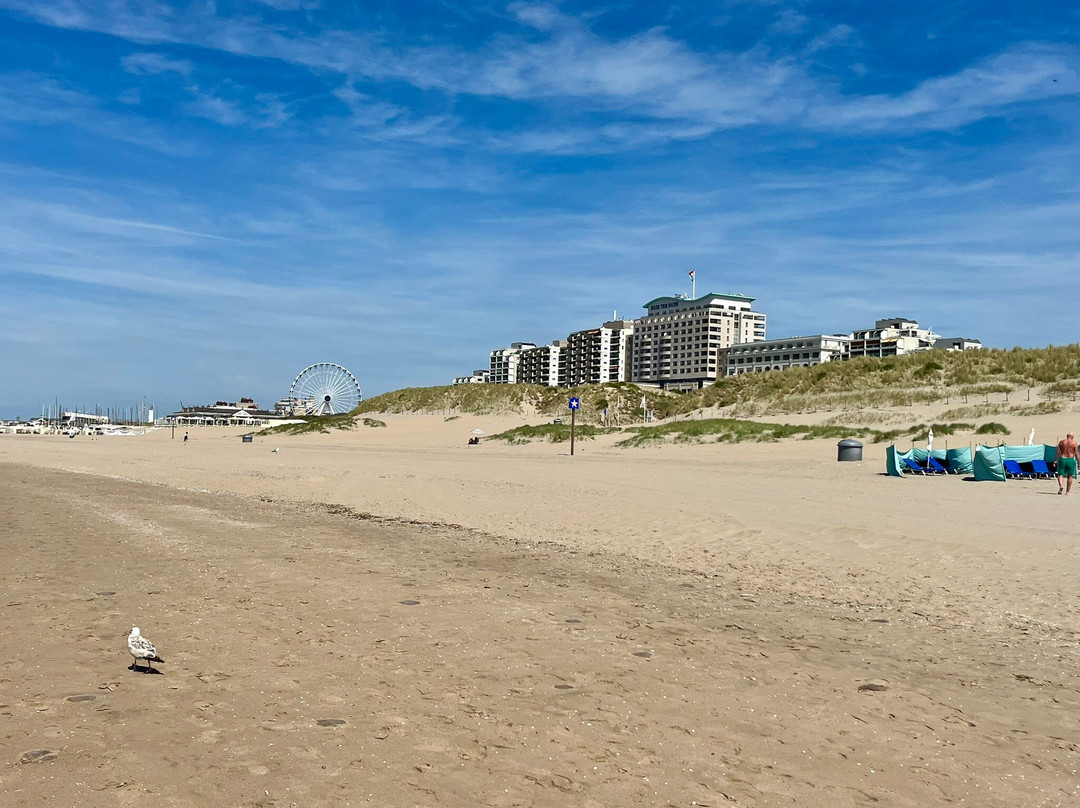 Strand Van Noordwijk-诺德韦克必去景点