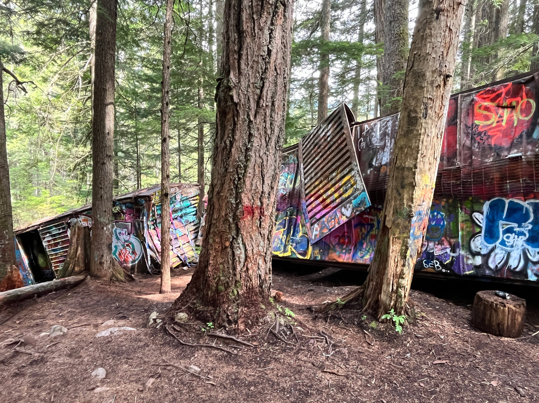 The Whistler Train Wreck Trail-惠斯勒必去景点
