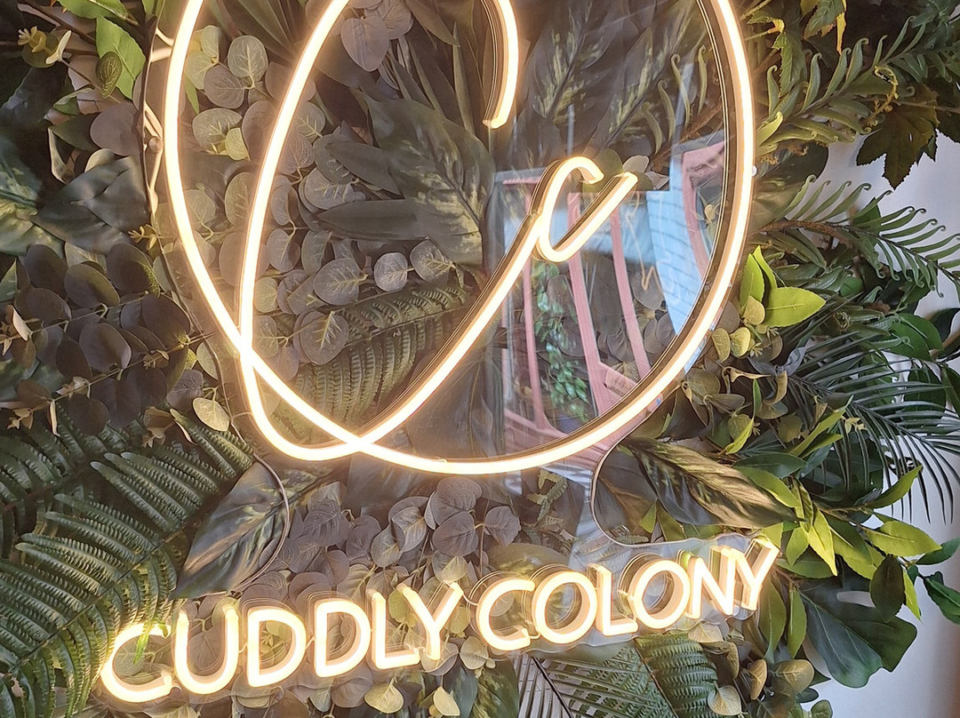 Cuddly Colony-布莱顿必去景点