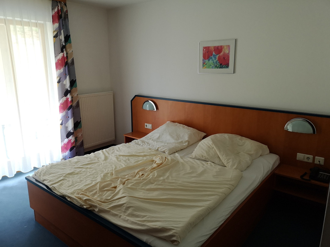 Sporthotel Sonnenhof主图