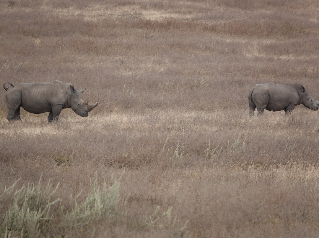 Unlimited Expeditions - The Soul Of Tanzania-阿鲁沙必去景点