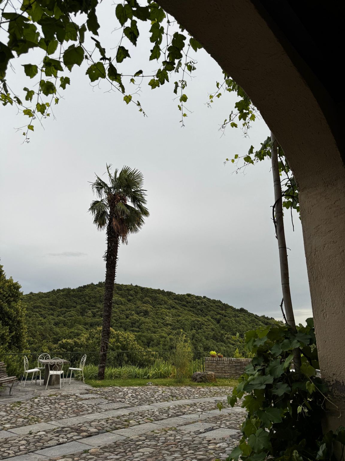 Cascina Rodiani - Green Hospitality-旅行者