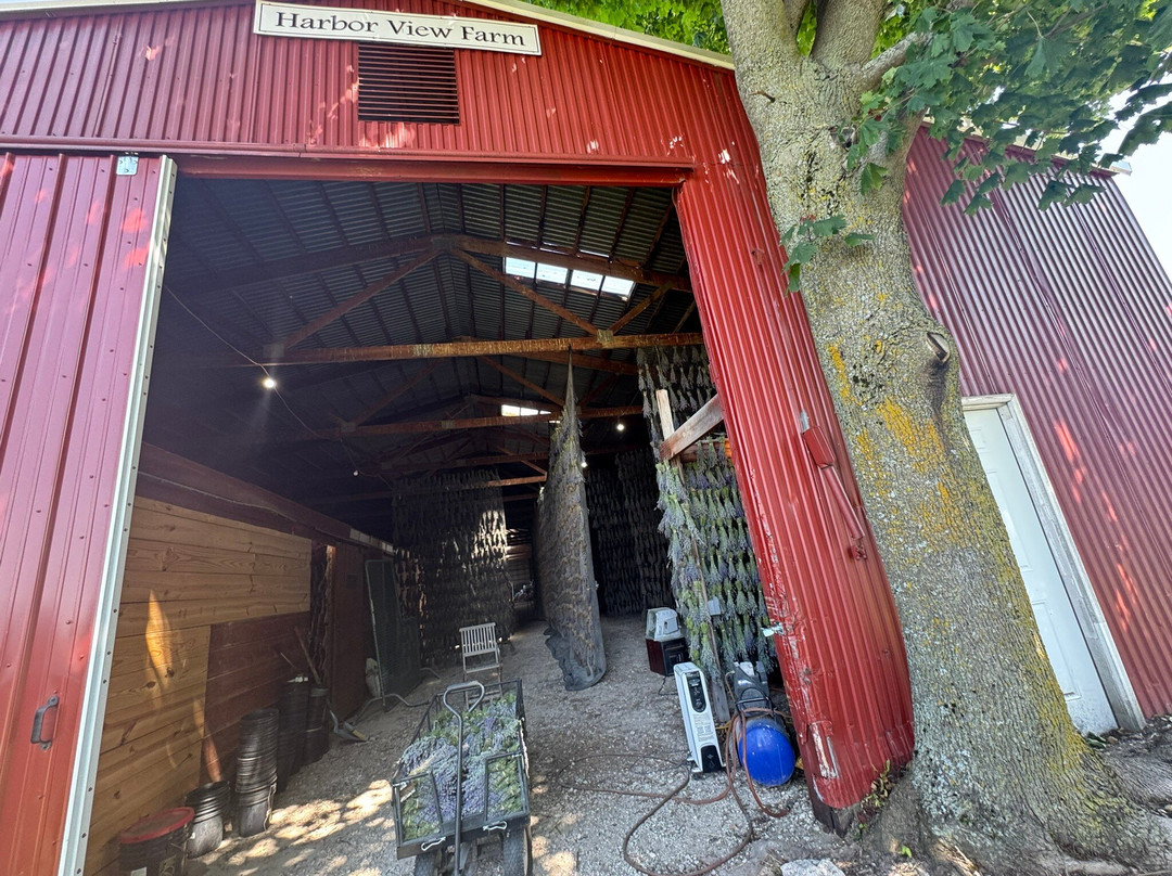 Harbor View Nursery & Lavender Farm-特拉弗斯城必去景点