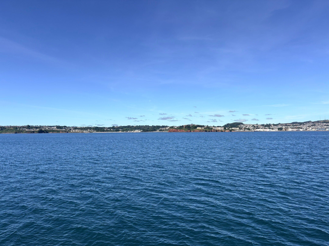 Brixham Harbour Ferry-布里克瑟姆必去景点