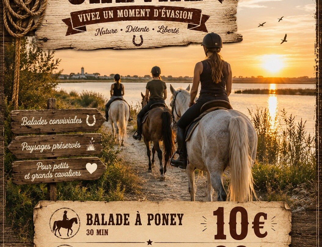 Promenade A Cheval Des Aresquiers-Vic-la-Gardiole必去景点
