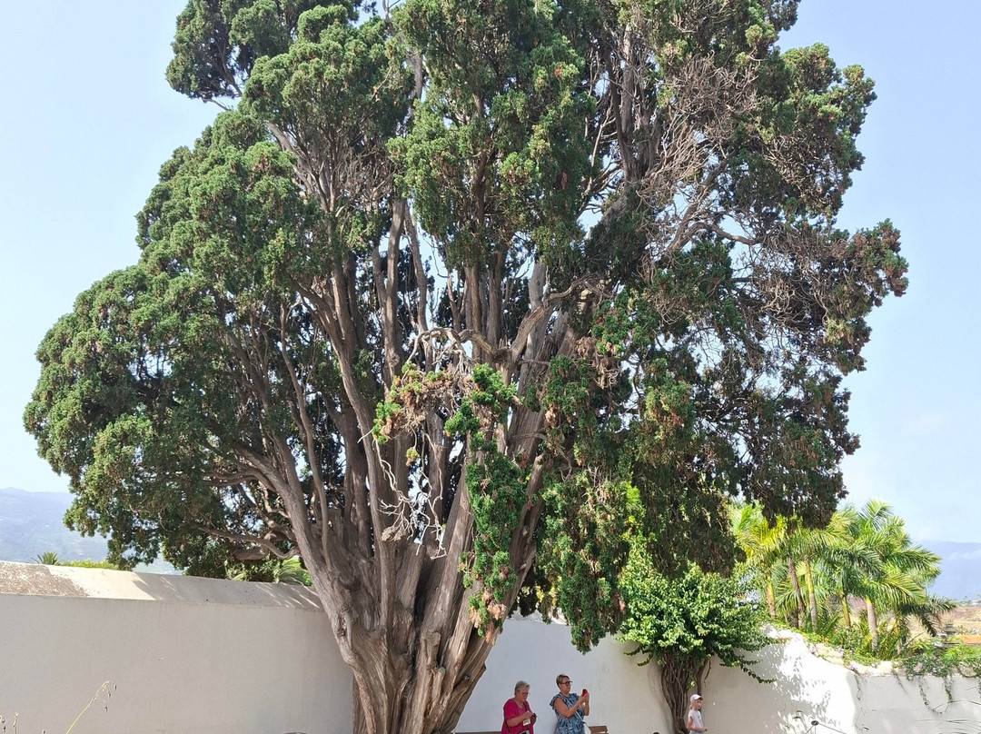 Botanischer Garten-德拉克鲁兹索尔港必去景点