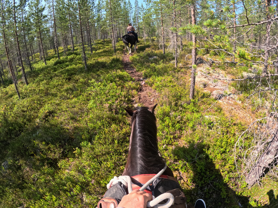 Fjällstallet Horsemanship-Salen必去景点