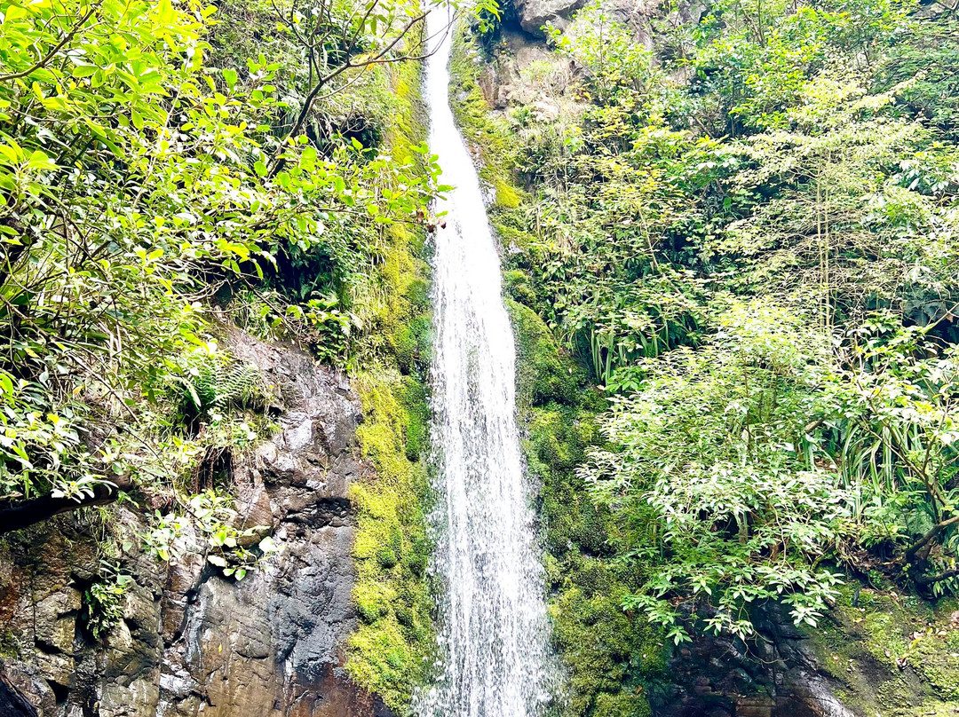 Washpen Falls-Darfield必去景点