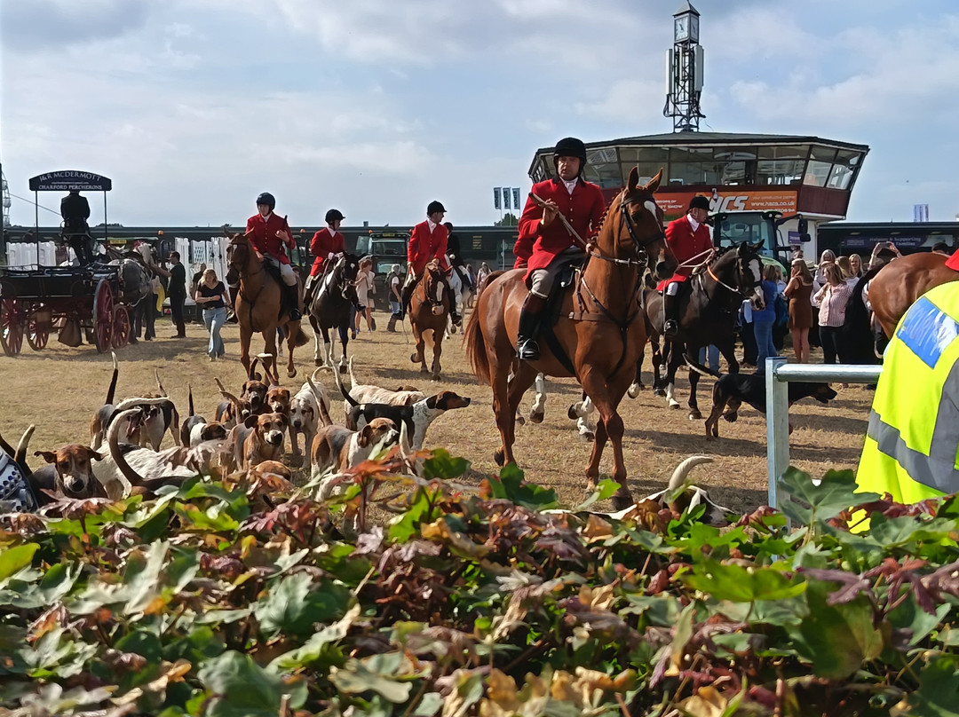 Great Yorkshire Show-哈罗盖特必去景点