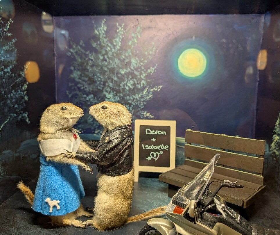 World Famous Gopher Hole Museum-Torrington必去景点
