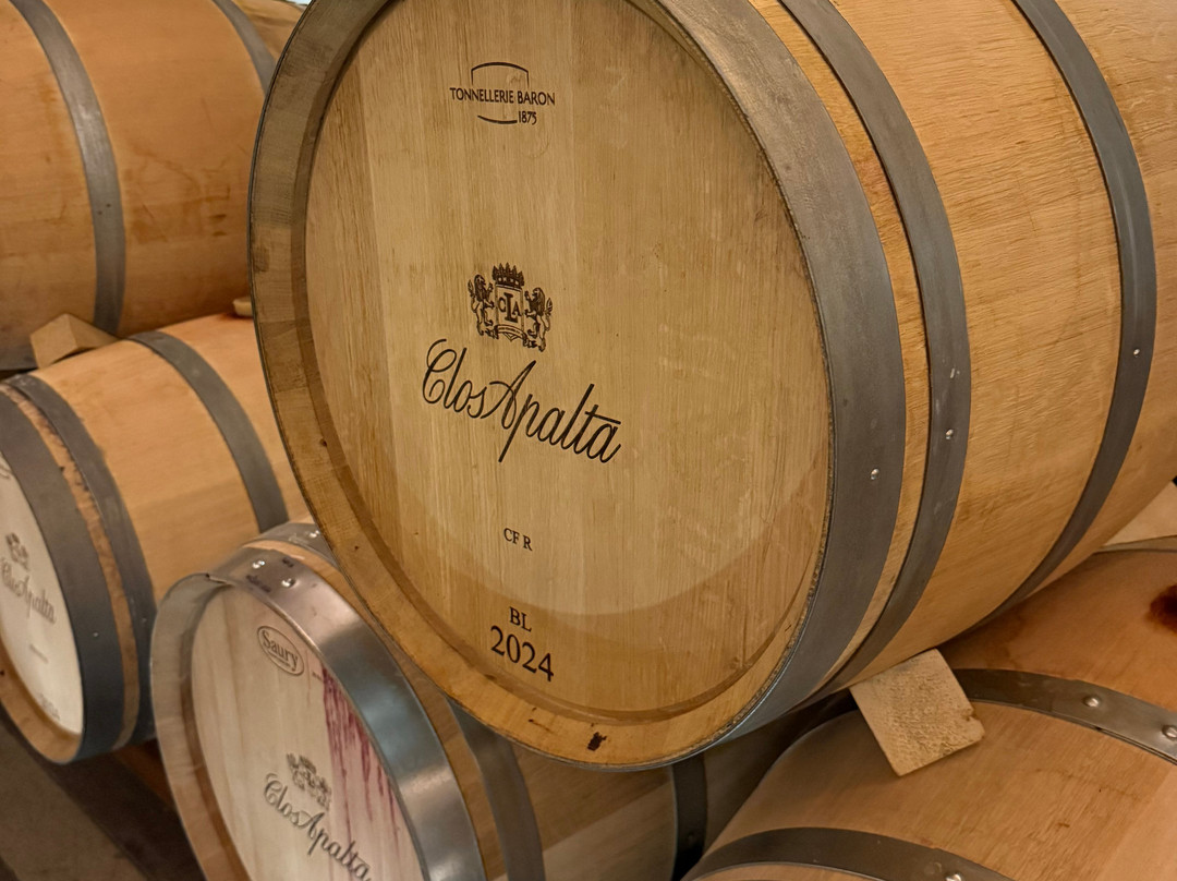 Clos Apalta-圣克鲁斯必去景点