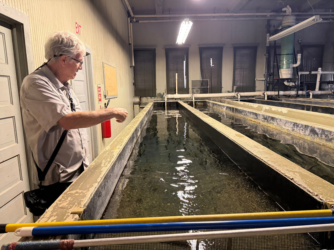 Les Voight State Fish Hatchery Visitor Center-Bayfield必去景点