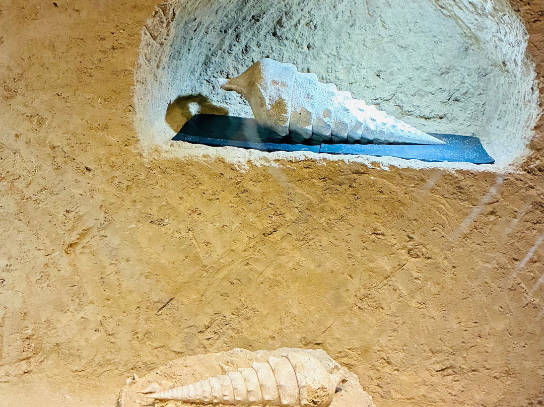 La Cave Aux Coquillages-Fleury-la-Riviere必去景点