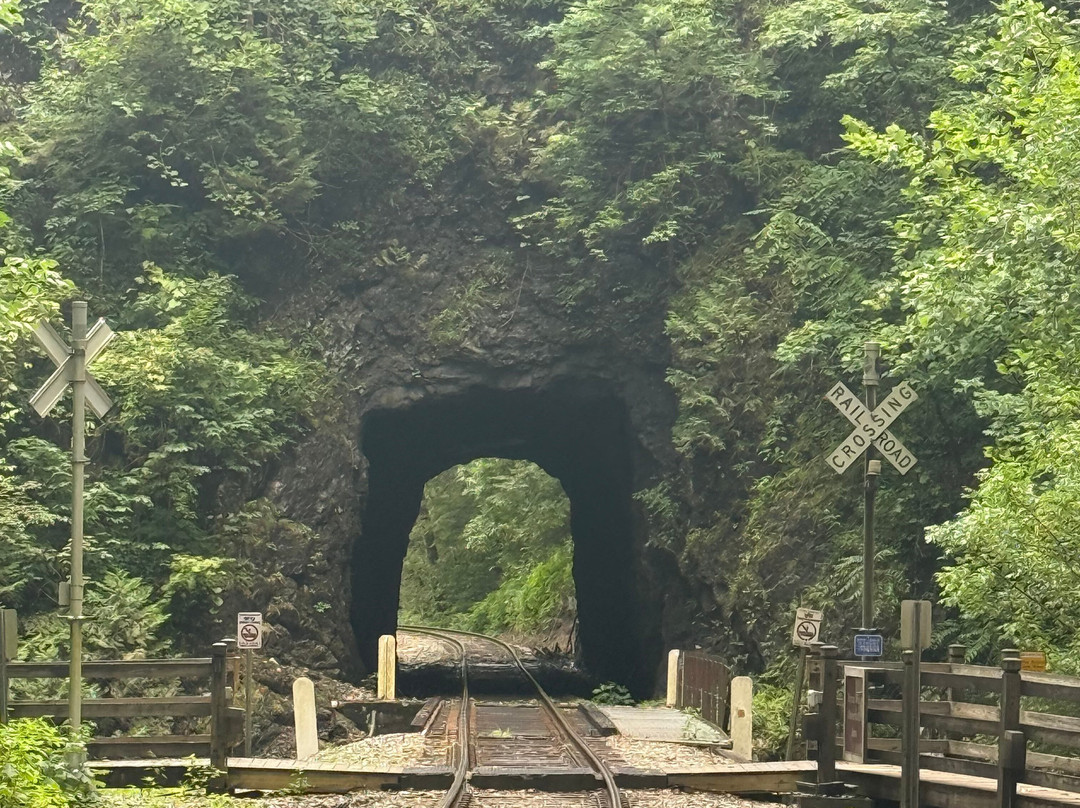 Natural Tunnel State Park-Duffield必去景点