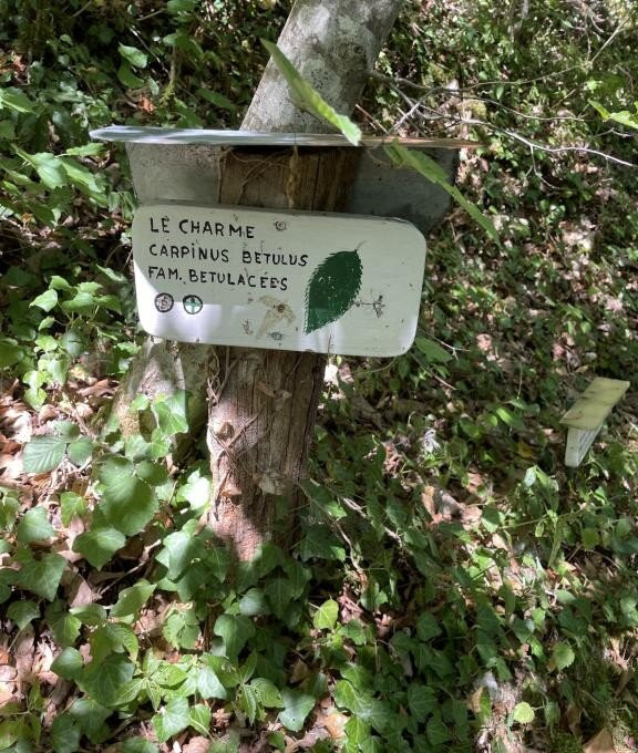 Sentier botanique de Vermes-Vermes必去景点