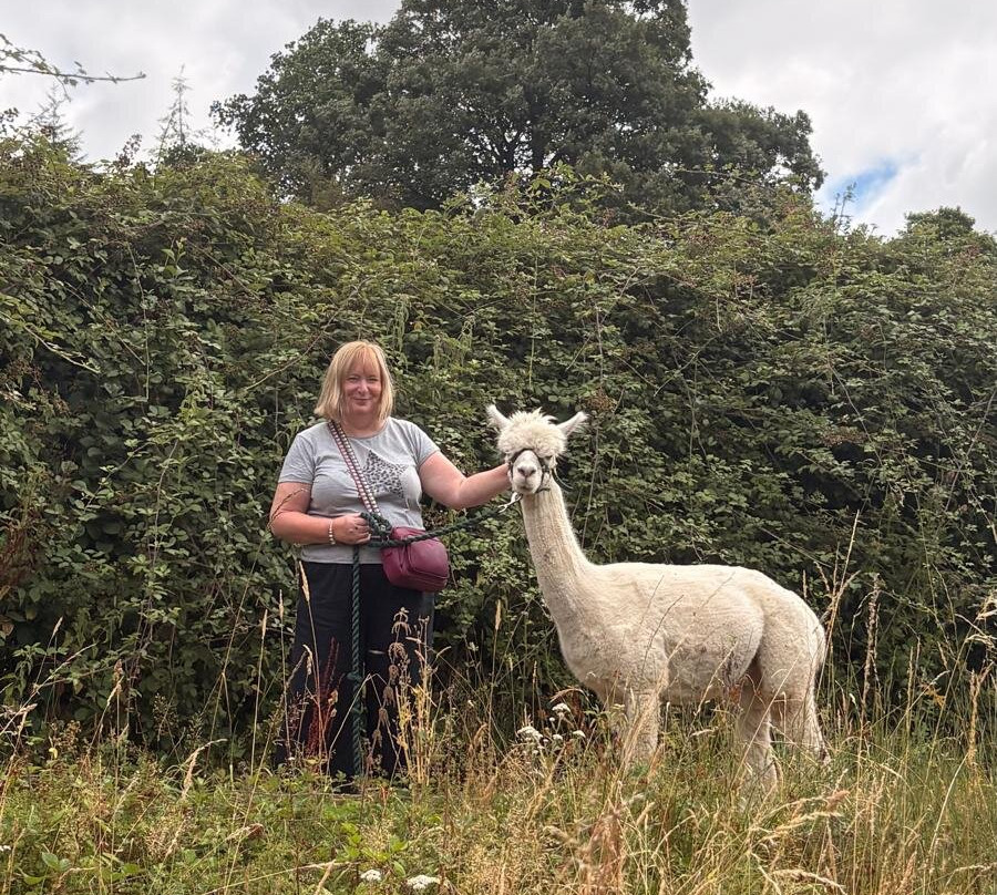 Little Orchard Alpacas-Shute必去景点