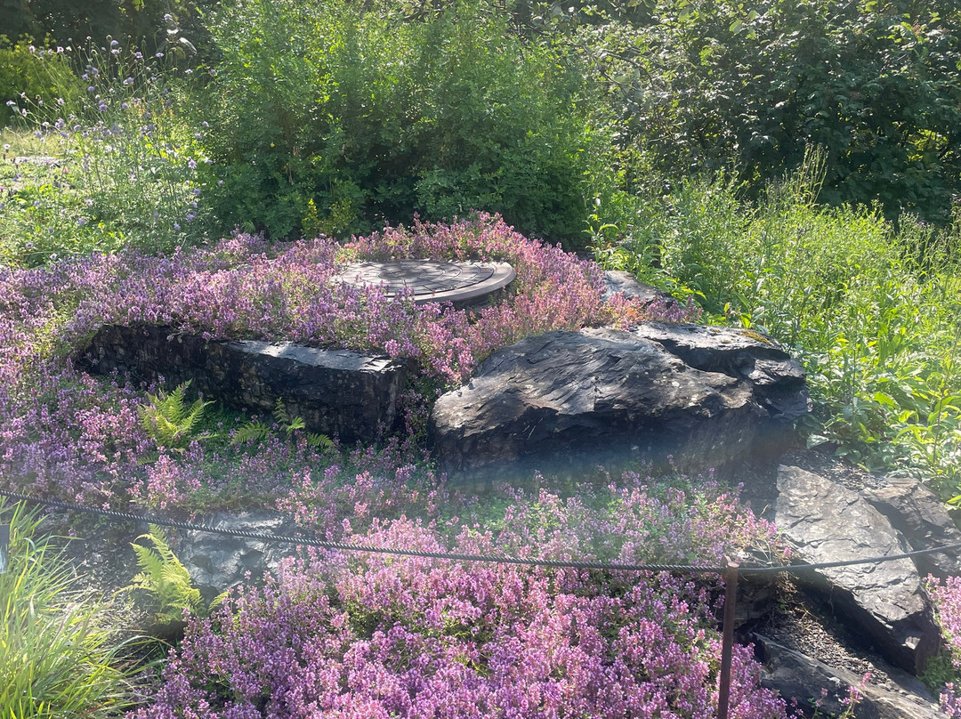 Botanical Garden-奥斯陆必去景点