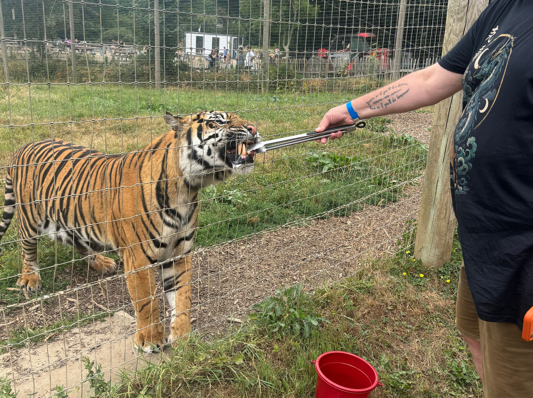 Manor Wildlife Park-St. Florence必去景点
