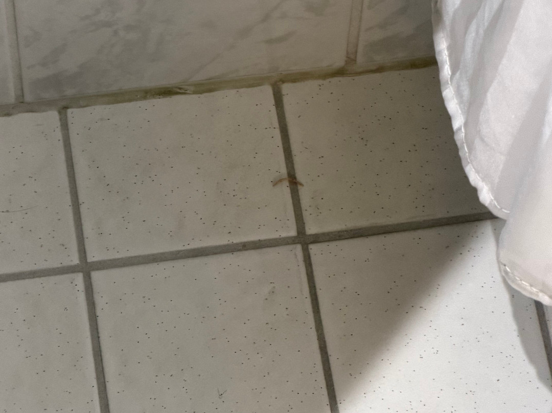 Holiday Inn Express 南安普敦M27，JCT.7主图