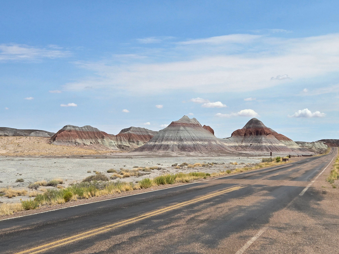 Petrified Forest National Park-霍尔布鲁克必去景点