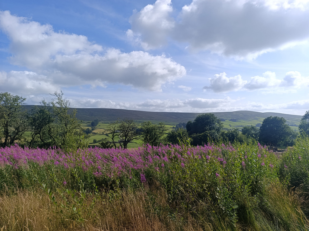 Giants of the Sperrins - Nowanois - The Storyteller-奥马必去景点