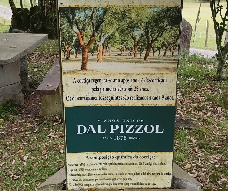 Dal Pizzol Vinhos Únicos-本图贡萨尔维斯必去景点