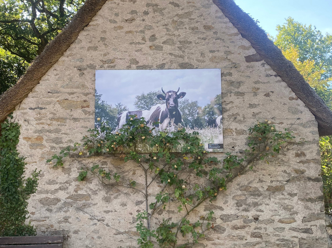 Village de Kerhinet-Saint-Lyphard必去景点
