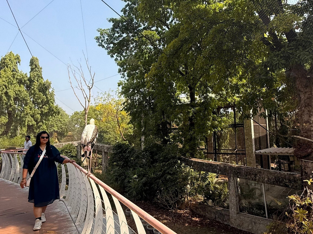 Sayaji Baug Zoo-瓦都达拉必去景点