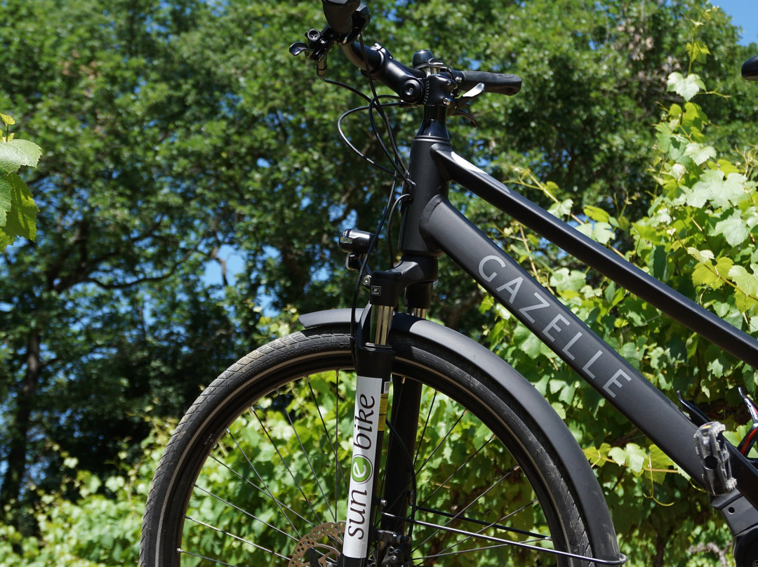 Sun-E-Bike-Bonnieux必去景点