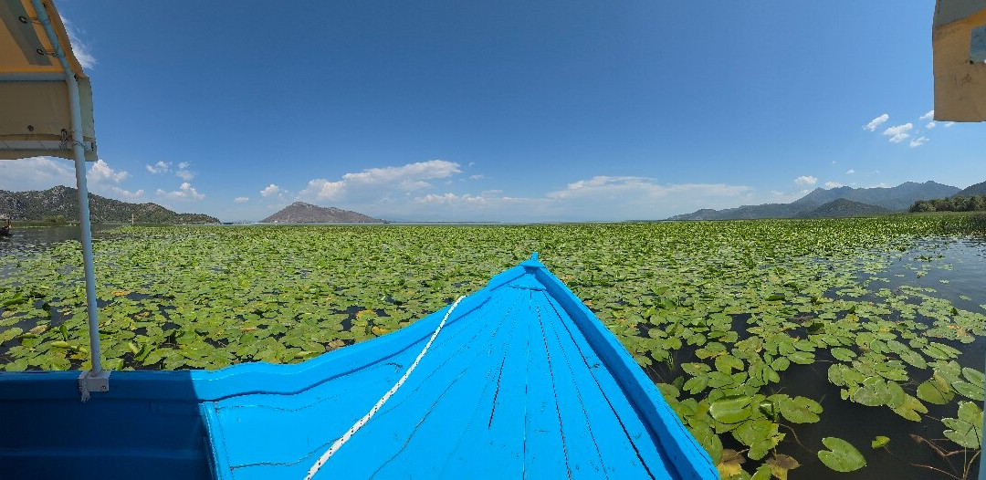 Monte Frog Boat Cruise-维尔巴札拉必去景点