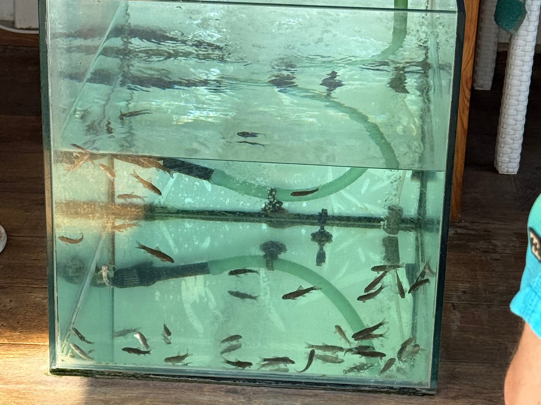 马哈巴宫酒店主图