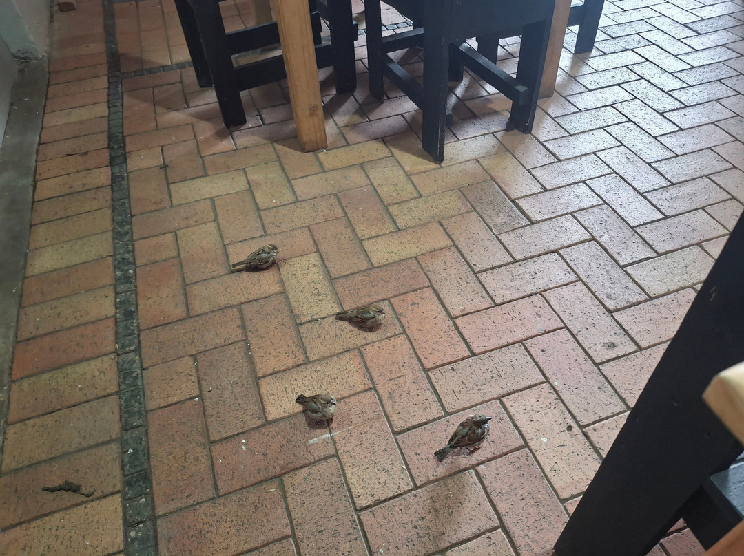 Lee-v's Coffee And Eatery