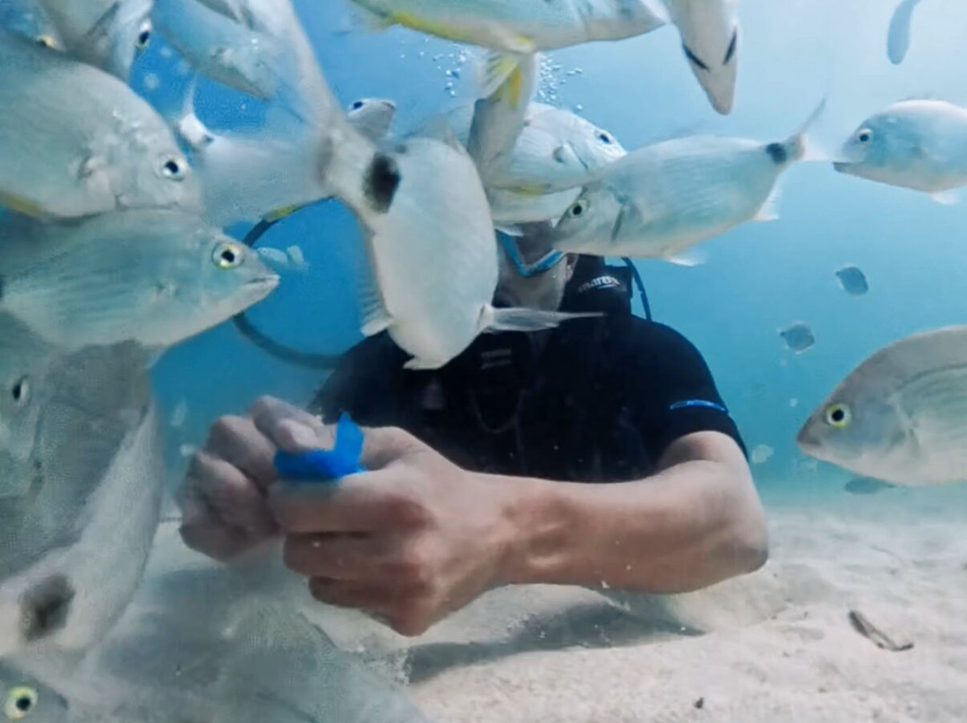 Archimede Diving Center Djerba-米栋必去景点