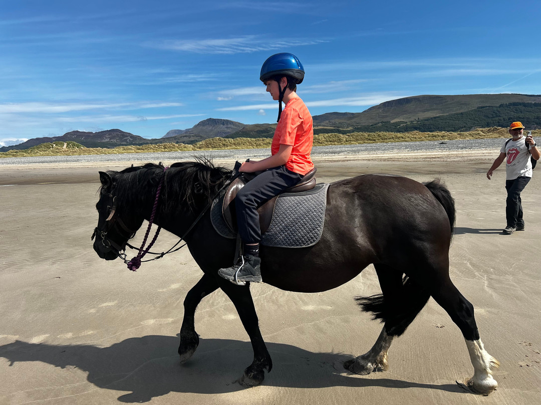 Pony Trekking at Bwlchgwyn Farm-Arthog必去景点
