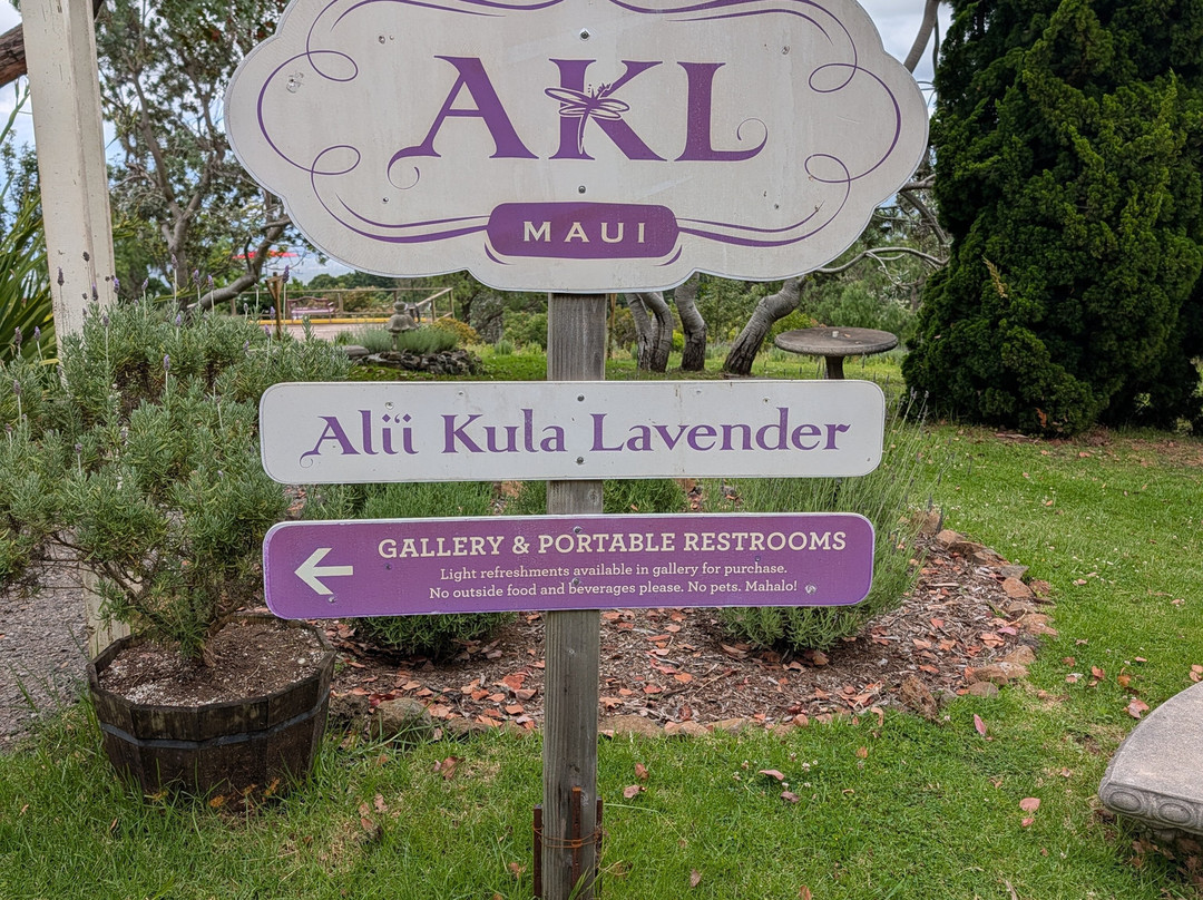 Alii Kula Lavender-库拉必去景点