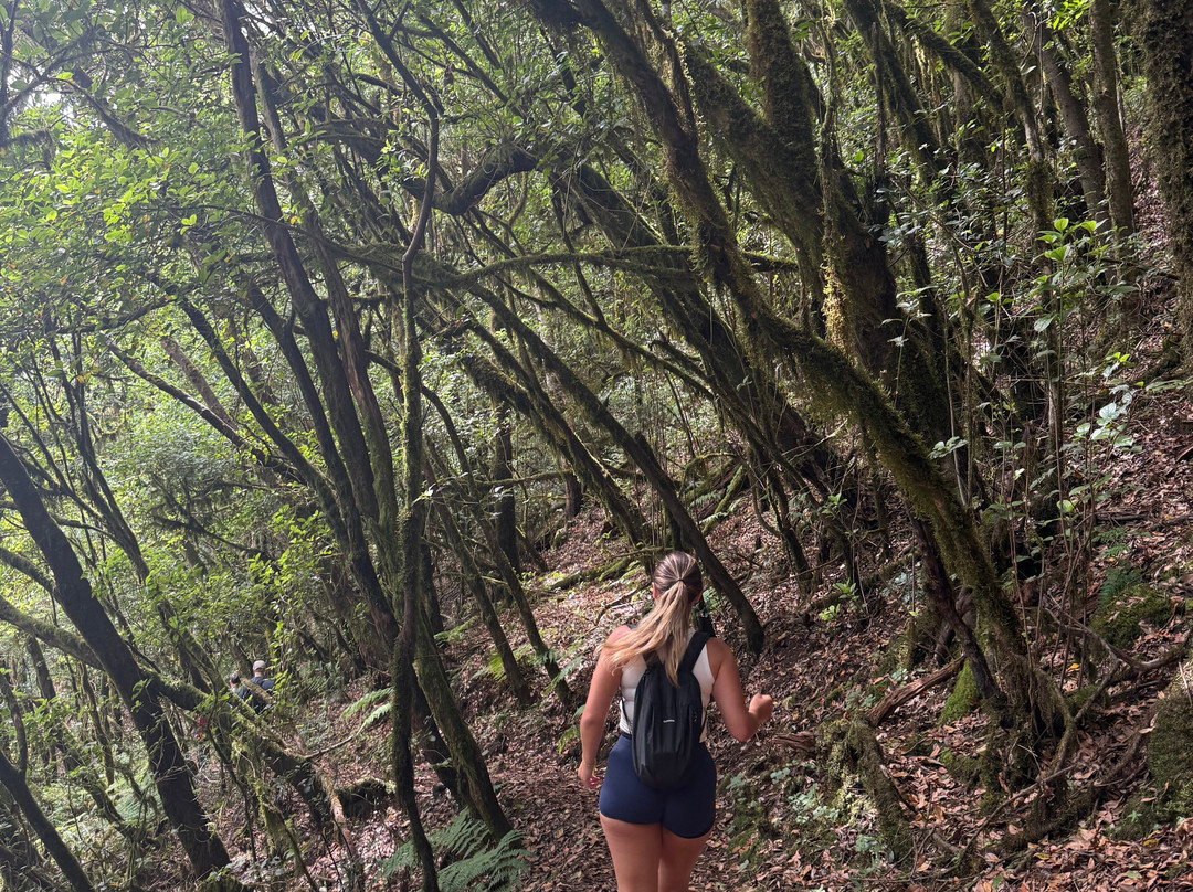 Ipalan Hiking Guided Tour-阿拉赫罗必去景点
