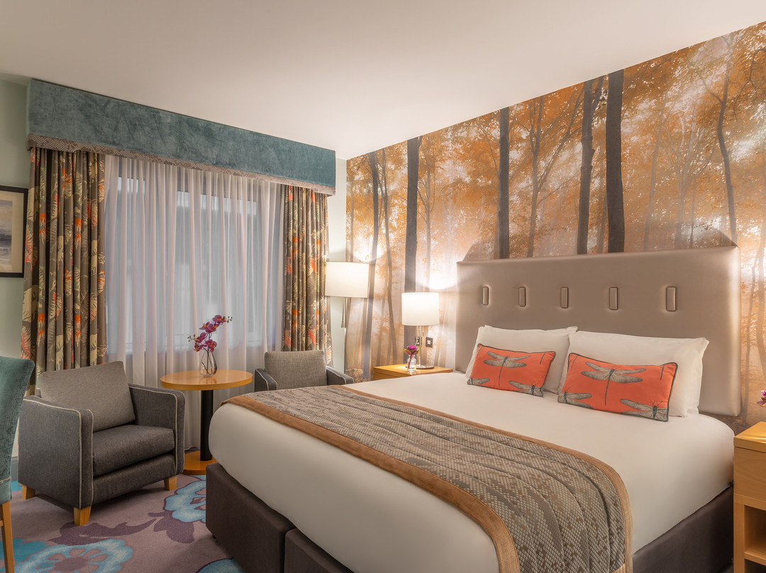 Crowne Plaza 都柏林 - 诺斯伍德